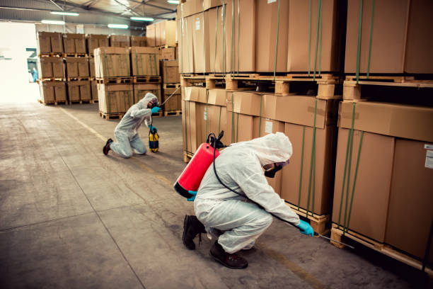 Best Affordable Pest Control Services  in Santa Clara, UT