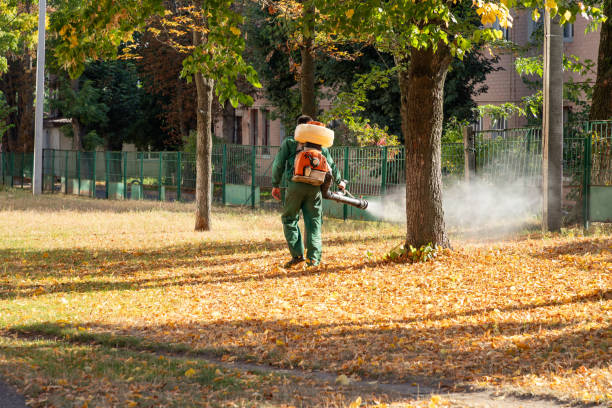 Pest Prevention Services in Santa Clara, UT