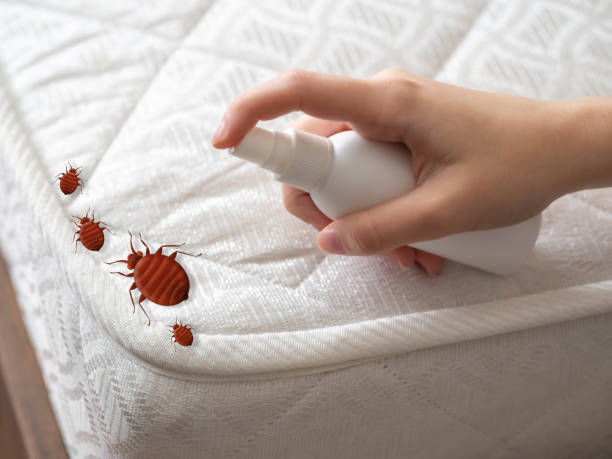 Santa Clara, UT Pest Control Company