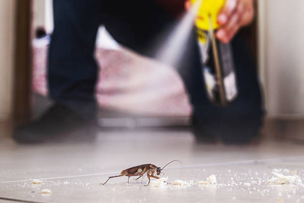 Best Pest Control for Businesses  in Santa Clara, UT
