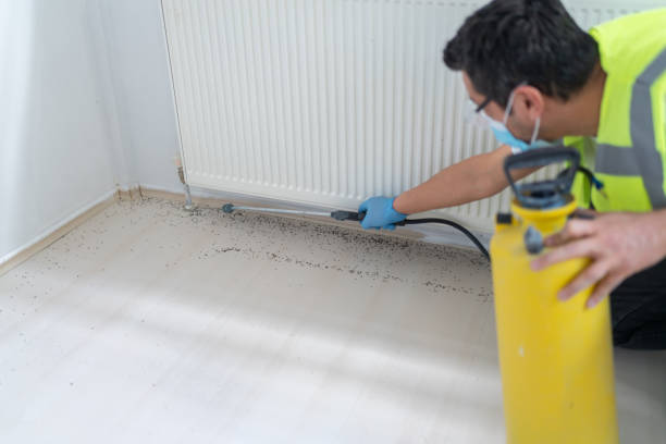 Best Pest Control Near Me  in Santa Clara, UT