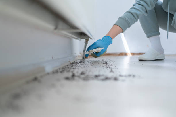 Best Bed Bug Extermination  in Santa Clara, UT